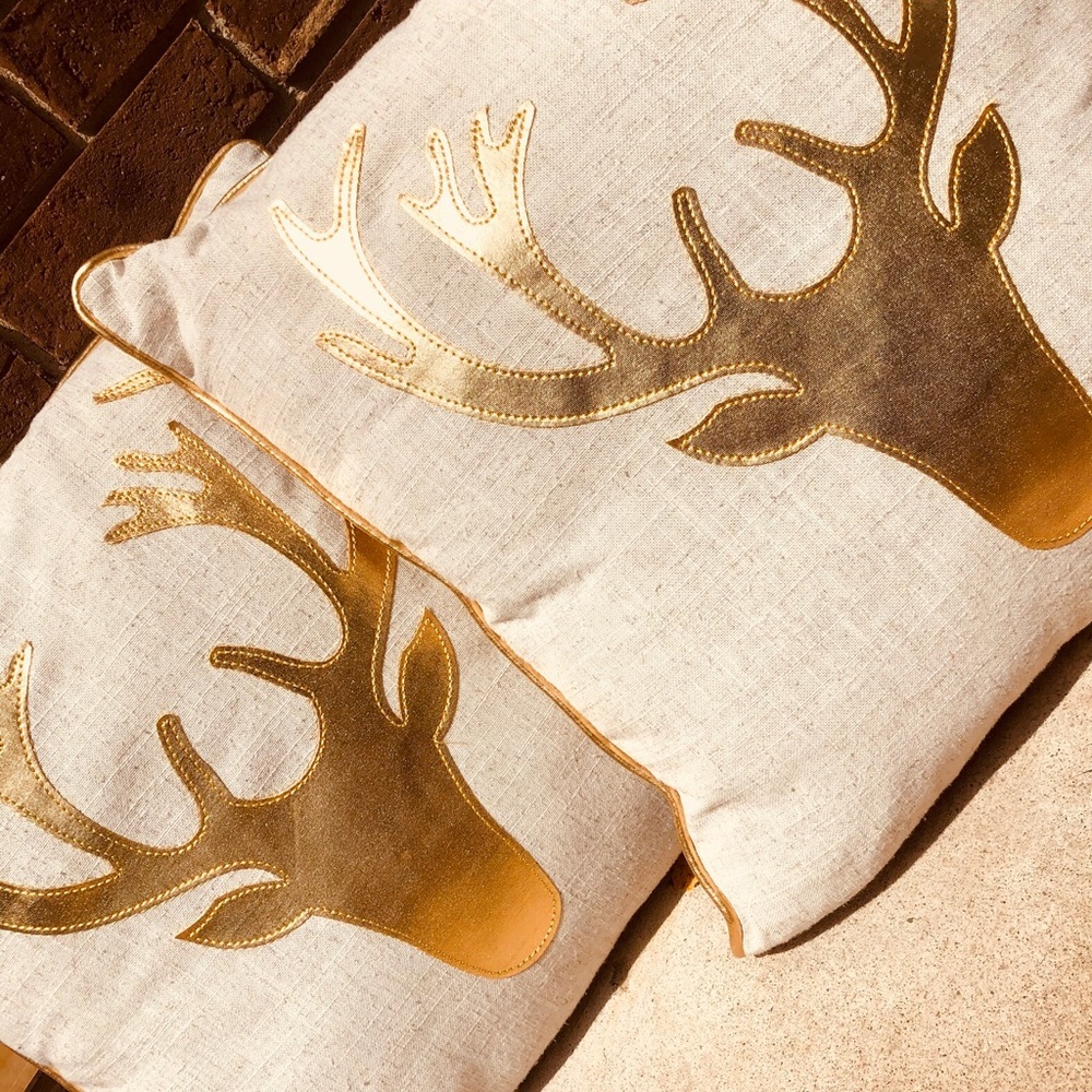 Francesca’s Pillows